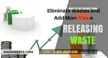Understanding Egestion: The Scientific Process of Waste Elimination Explained