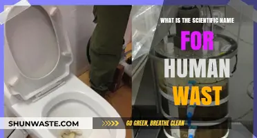 Understanding Human Waste: The Scientific Terminology Behind Our Biological Byproducts