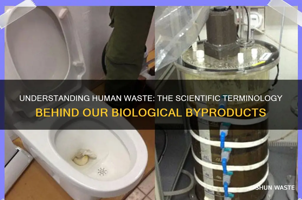 what is the scientific name for human wast