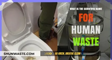 Understanding Human Waste: The Scientific Terminology Behind Our Bodily Byproducts