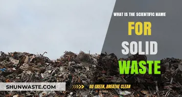 Understanding Solid Waste: Its Scientific Classification and Terminology