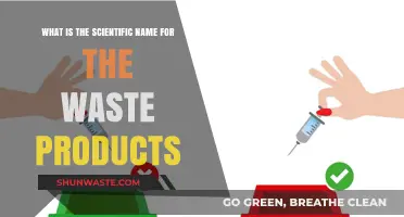 Understanding Waste: The Scientific Names for Byproducts and Residues