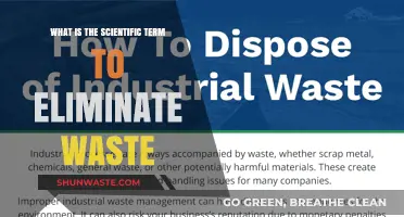 Understanding Waste Elimination: The Scientific Term for Efficient Waste Management