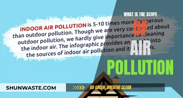 Air Pollution's Global Reach and Impact