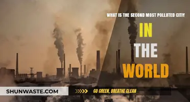 Air Quality Alert: The Second Most Polluted City
