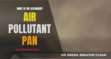 Air Pollution's Secondary Impact: The PAN Issue