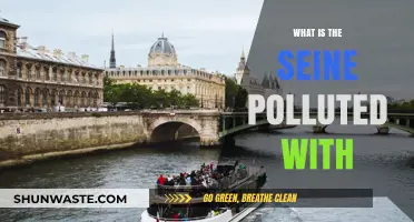 The Seine's Pollution Problem: A River's Plight