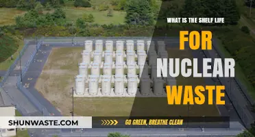 Understanding the Long-Term Storage and Shelf Life of Nuclear Waste