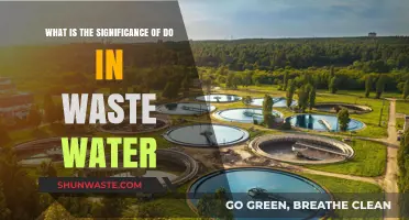 Understanding the Crucial Role of DO in Wastewater Treatment