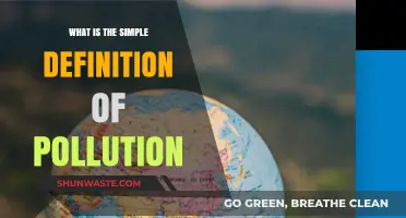 Understanding Pollution: A Simple Definition and Its Impact
