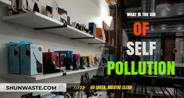 Self-Pollution: A Sin of Self-Destruction
