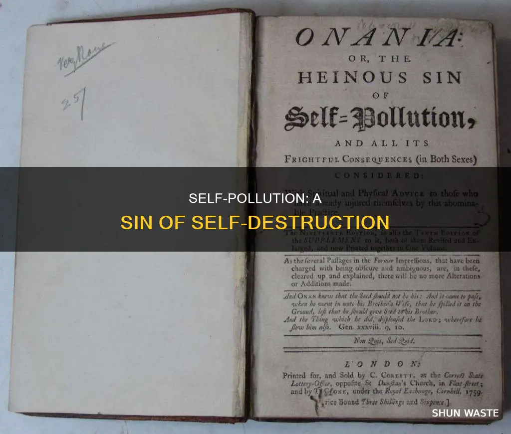 what is the sin of self pollution