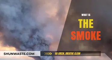 Understanding Smoke: Its Nature and Impact