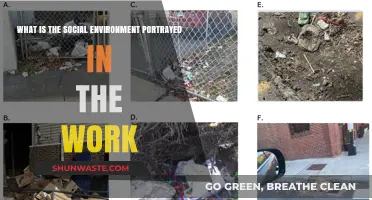 Exploring the Social Environment Portrayed in the Work: Themes and Insights