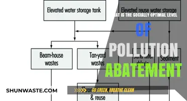 Pollution Abatement: Social Optimum and Trade-offs