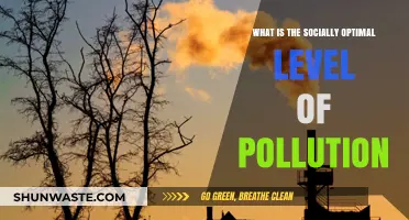 Pollution's Socially Optimal Level: Finding the Balance