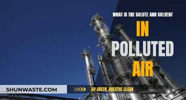 Air Pollution: Understanding Solutes and Solvents