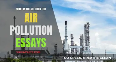 Air Pollution: Solutions for a Cleaner Tomorrow