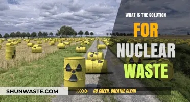 Innovative Solutions for Safely Managing and Disposing of Nuclear Waste