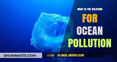 Ocean Pollution: Solutions and Innovations