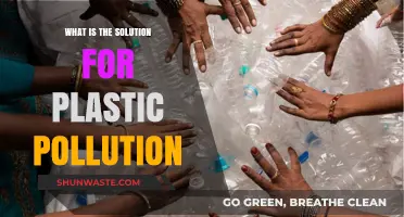Solving Plastic Pollution: Sustainable Solutions for a Greener Future