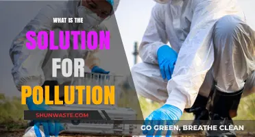 Green Revolution: Solving Pollution for a Sustainable Future