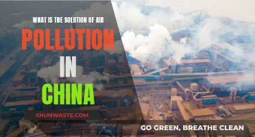 China's Air Pollution: Solutions and Innovations