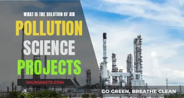 Air Purification Science: DIY Solutions to Air Pollution