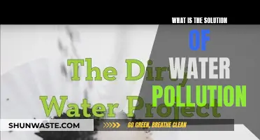 Clean Water Solutions: Strategies to Combat Pollution