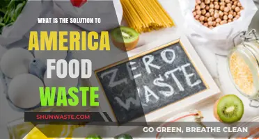 Combatting America's Food Waste Crisis: Innovative Solutions Unveiled