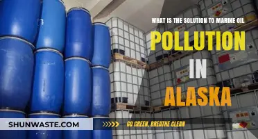 Alaska's Marine Oil Pollution: Solutions and Innovations