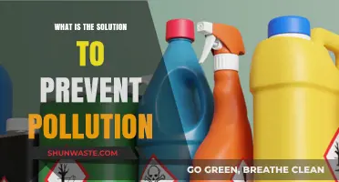 Green Revolution: Preventing Pollution for a Sustainable Future