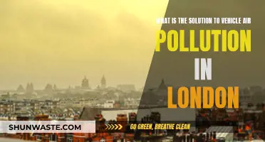 London's Air: Electric Vehicles to the Rescue