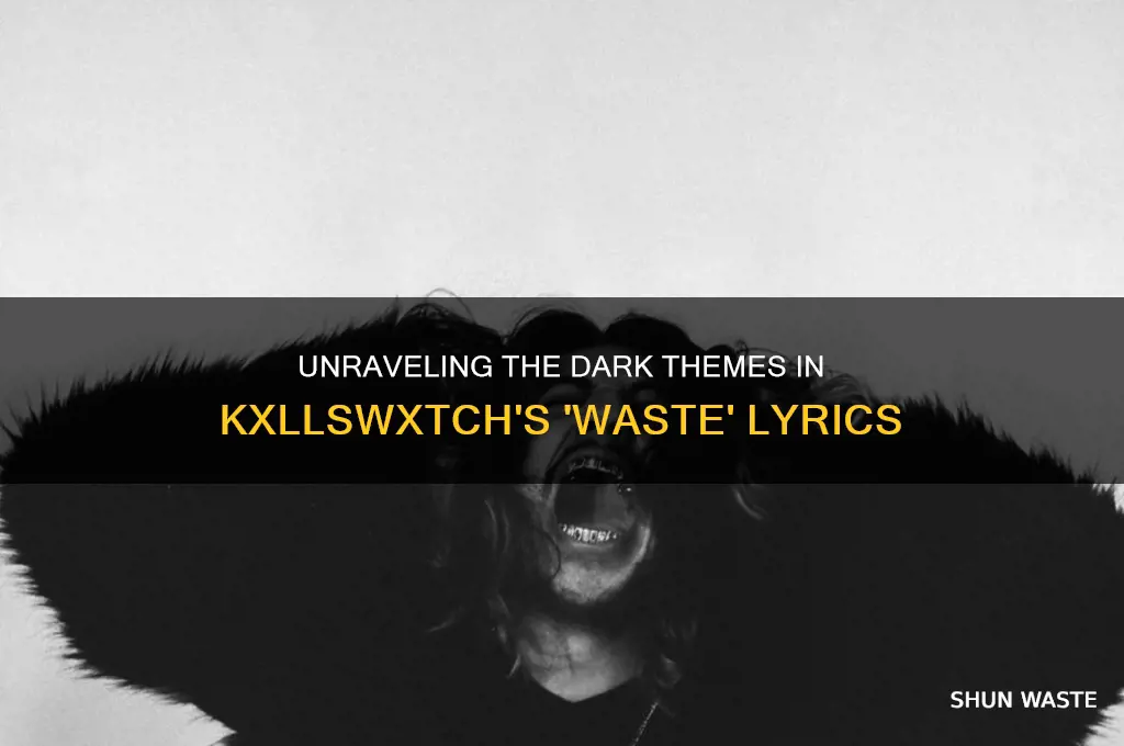 what is the song waste by kxllswxtch about