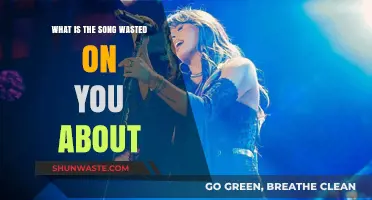 Unraveling the Heartache: What is the Song 'Wasted on You' About?