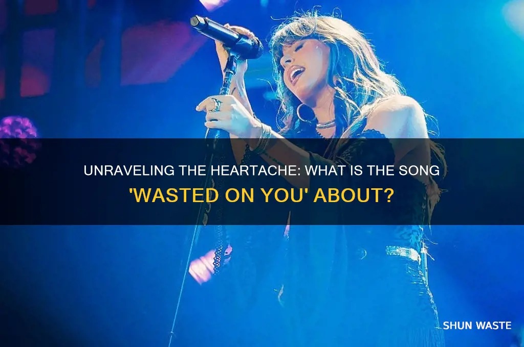 what is the song wasted on you about