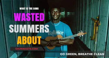Wasted Summers: Unraveling the Meaning Behind the Emotional Lyrics