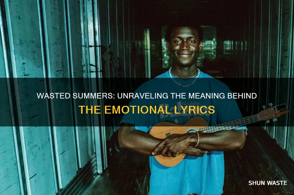 what is the song wasted summers about