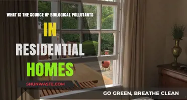 Biological Pollutants: The Unseen Home Invaders