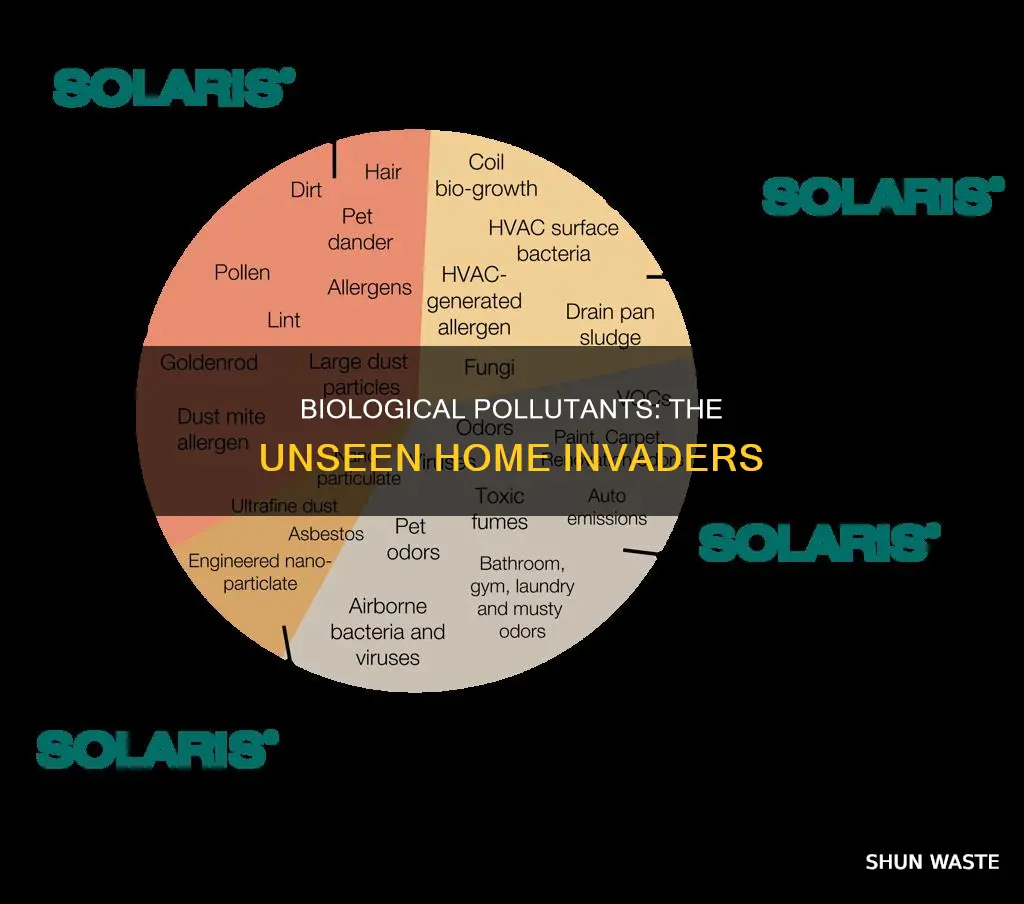what is the source of biological pollutants in residential homes