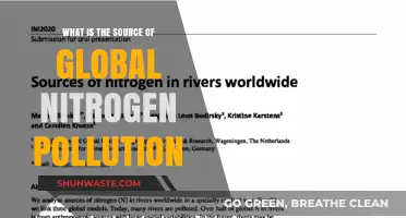 Nitrogen Pollution: The Unseen Global Crisis