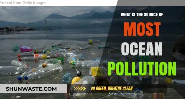 Ocean Pollution: The Human Factor