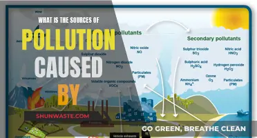 Unveiling the Hidden Causes: Sources of Pollution Explored