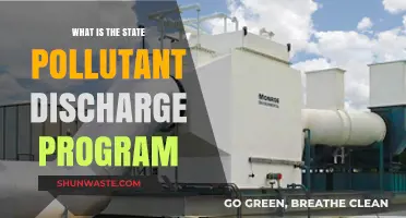 Understanding State Pollutant Discharge Programs