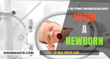 Understanding Meconium: The Greenish-Black Newborn Waste Explained