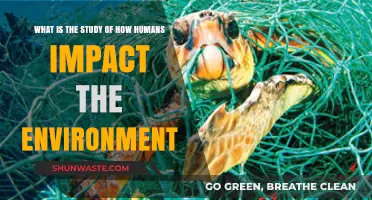 Human Impact on Nature: Understanding Our Environmental Footprint