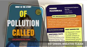 Understanding Pollution: The Study of Environmental Contamination