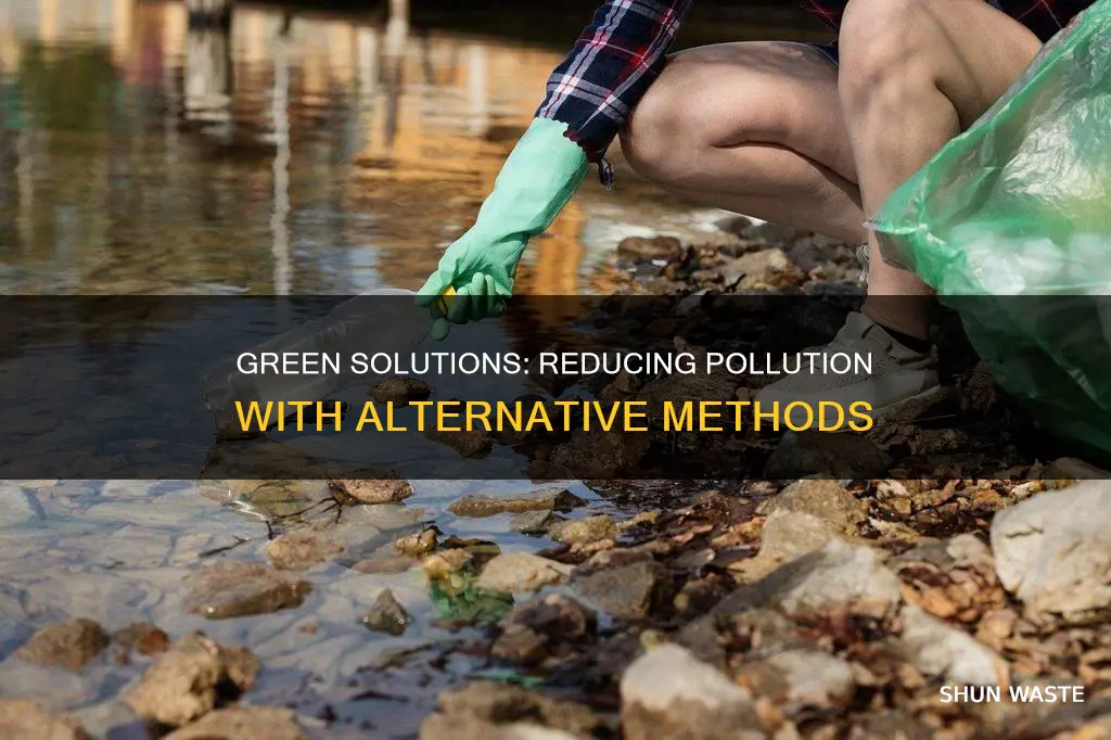 what is the suggested alternative method to reducing pollution