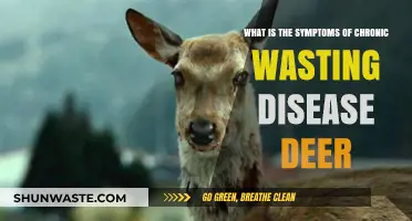 Chronic Wasting Disease in Deer: Recognizing Symptoms and Risks