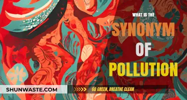 Understanding Pollution: Exploring Synonyms and Their Impacts